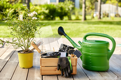 Image of box with garden tools and watering can in summer