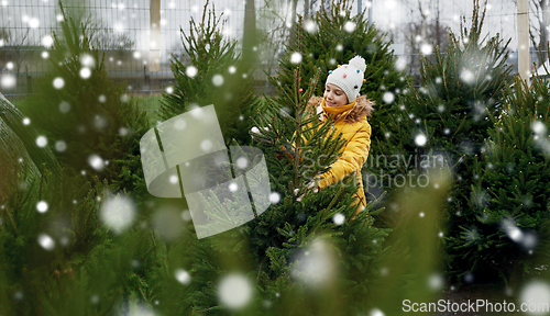 Image of little girl choosing christmas tree at market