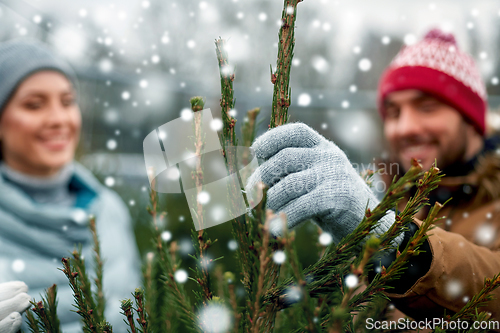 Image of happy couple buying christmas tree at market