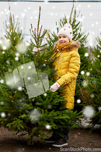 Image of little girl choosing christmas tree at market