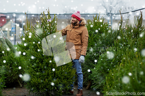 Image of happy man choosing christmas tree at market