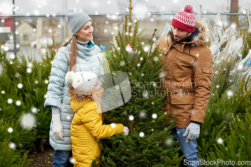 Image of happy family choosing christmas tree at market