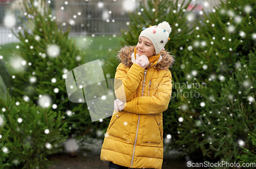 Image of little girl choosing christmas tree at market