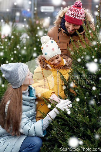 Image of happy family choosing christmas tree at market