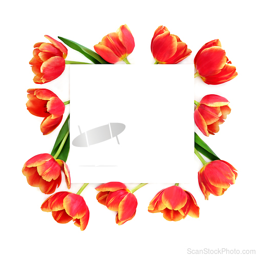 Image of Tulip Flowers of Spring Abstract Background Frame