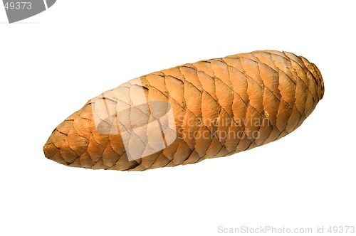 Image of A cone