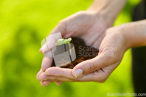 Image of hands holding plant growing in handful of soil