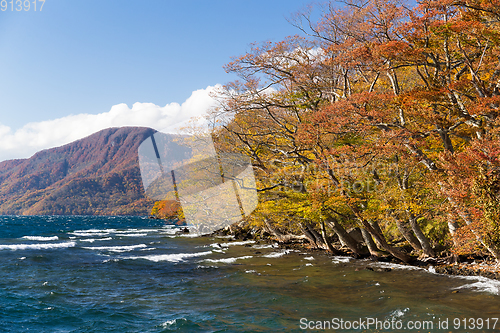 Image of Lake Towada