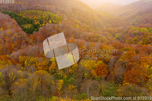 Image of Hakkodasan in autumn season