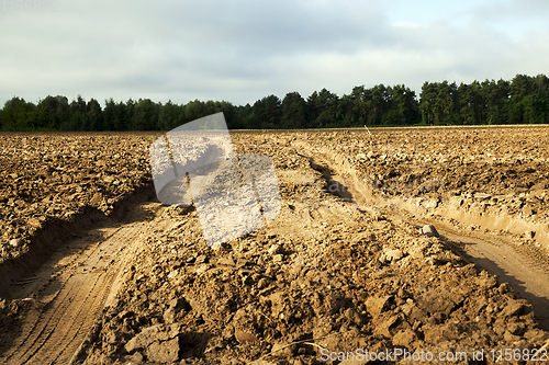 Image of ruts from wheels