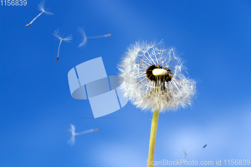 Image of blue sky