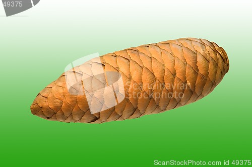 Image of A cone w green background