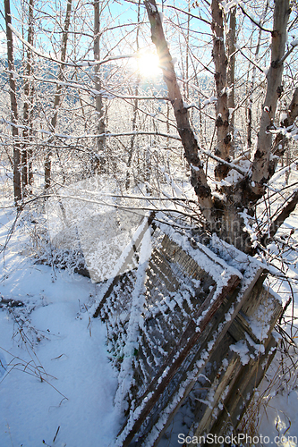 Image of Snowy gates