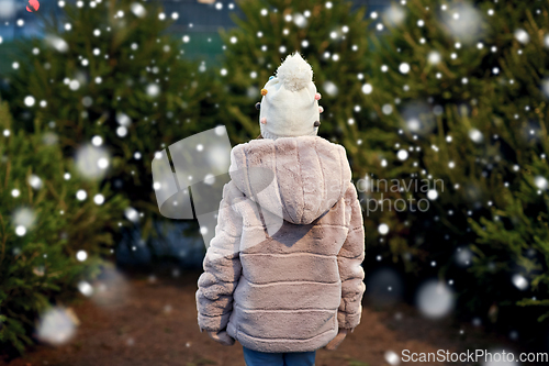 Image of little girl choosing christmas tree at market