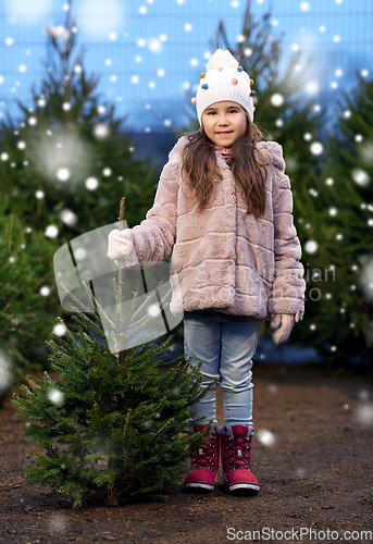 Image of little girl choosing christmas tree at market