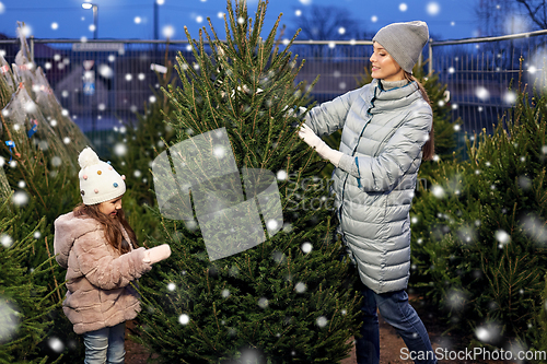 Image of happy family choosing christmas tree at market