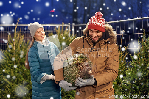 Image of happy couple buying christmas tree at market