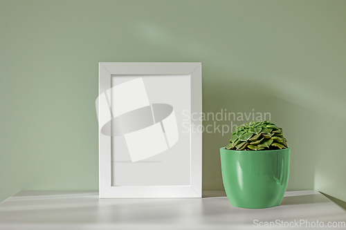 Image of empty frame and green flower pot