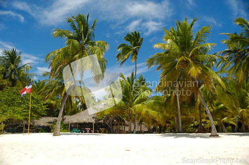 Image of Tropical beach. The Dominican Republic, Saona Island