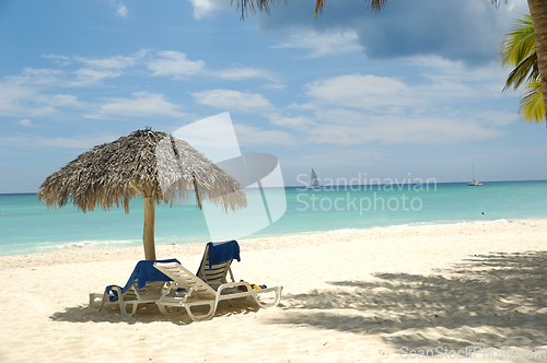 Image of Tropical beach. The Dominican Republic, Saona Island