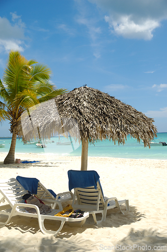 Image of Tropical beach. The Dominican Republic, Saona Island