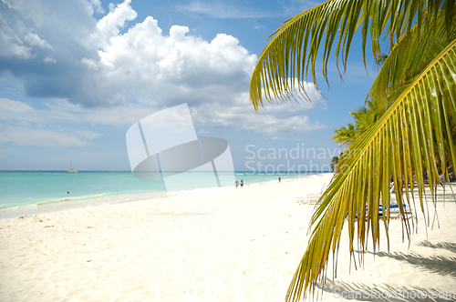 Image of Tropical beach. The Dominican Republic, Saona Island