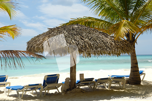 Image of Tropical beach. The Dominican Republic, Saona Island