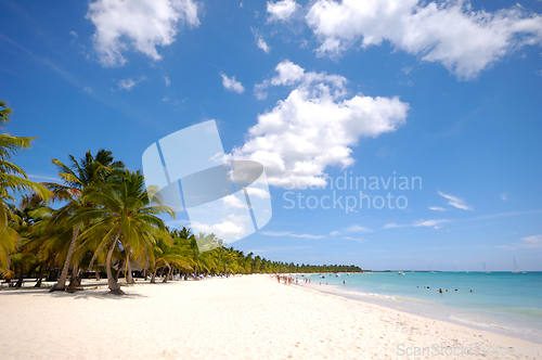 Image of Tropical beach. The Dominican Republic, Saona Island