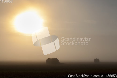 Image of straw stacks