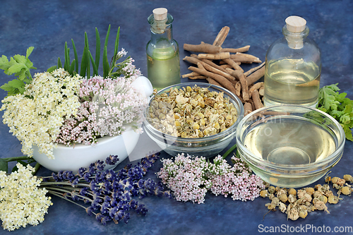 Image of Herbs and Flowers to Heal Anxiety and Insomnia