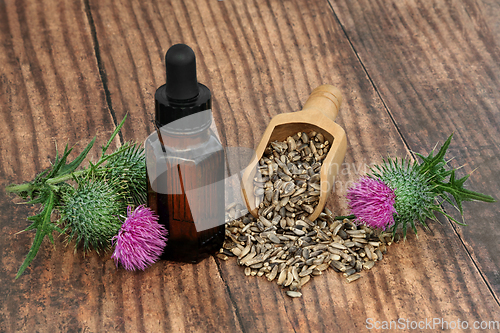 Image of Milk Thistle Alternative Herbal Medicine