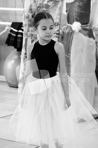 Image of Young Dancer