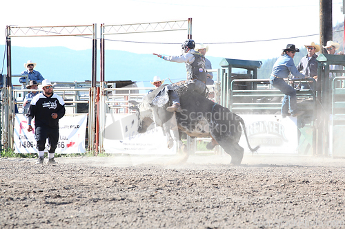 Image of Ty Pozzobon Invitational PBR