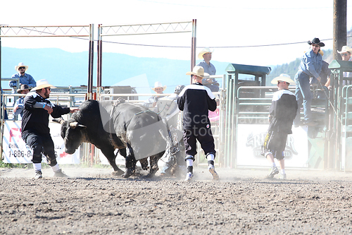 Image of Ty Pozzobon Invitational PBR