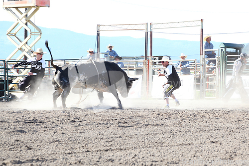 Image of Ty Pozzobon Invitational PBR