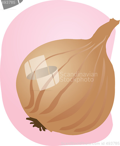 Image of Onion illustration