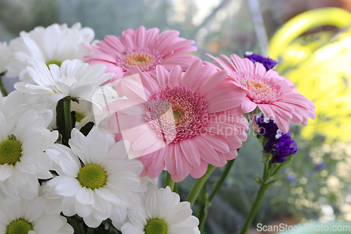 Image of Bouquet of beautiful flowers