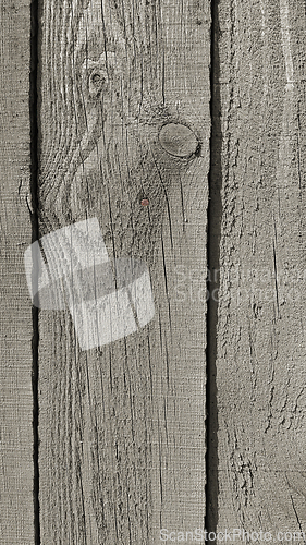 Image of Texture of weathered wooden fence