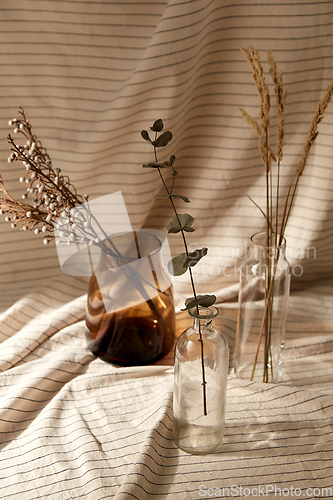 Image of decorative dried flowers in vases and bottles