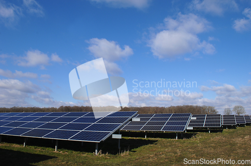 Image of Rows of solar panels