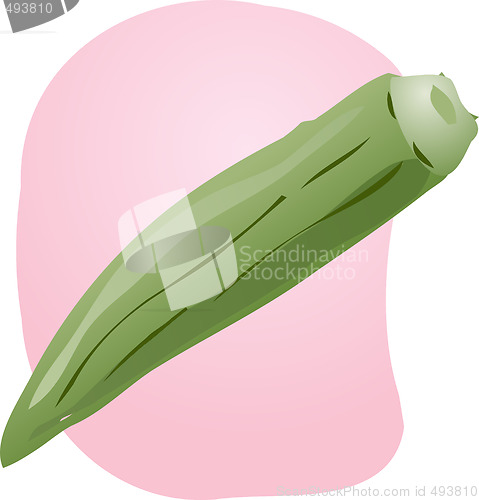 Image of Okra illustration