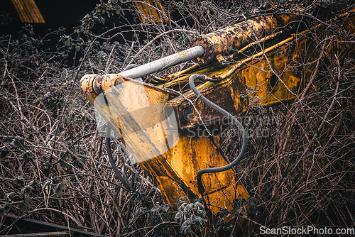 Image of Old abandoned yellow excavator in a garden