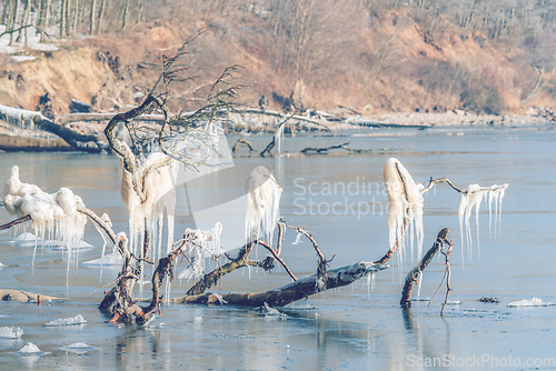 Image of Icy landscape with icicles on branches