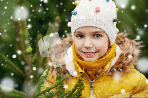 Image of little girl choosing christmas tree at market