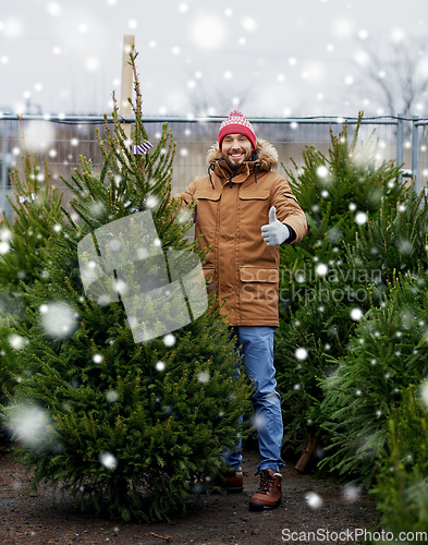 Image of happy man buying christmas tree at market