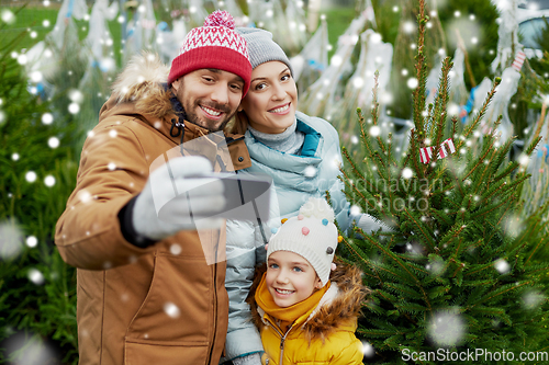 Image of family taking selfie with christmas tree at market