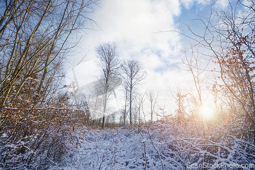 Image of Winter scenery in the sunrise