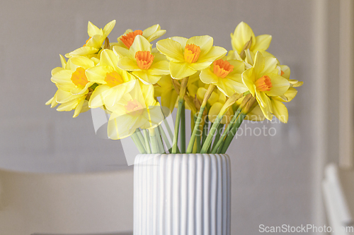 Image of Daffodils in a white vase in the springtime