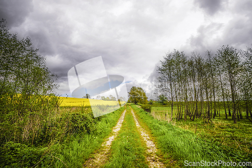 Image of Rural countryside road in cloudy weather