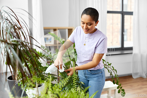Image of happy african american woman cleaning houseplant